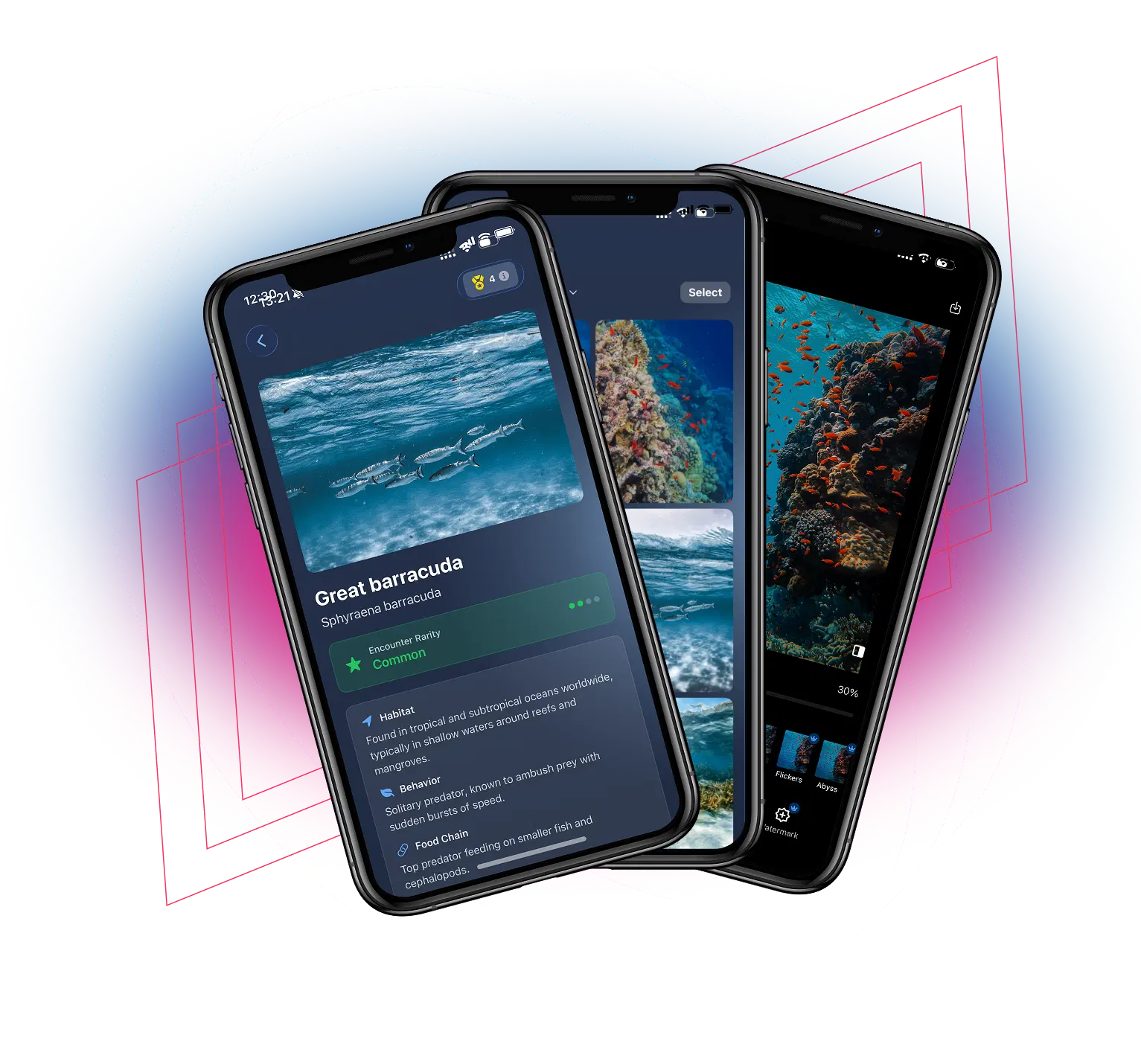 DiveFilter app screenshots showing underwater filters and marine life identification